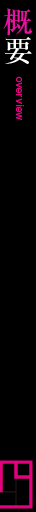 概要